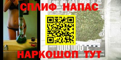 PSILOCYBIN Абакан