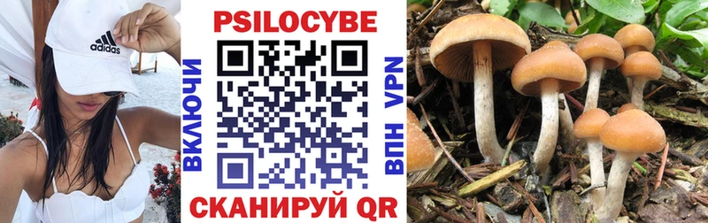 как найти закладки  Альметьевск  Псилоцибиновые грибы Cubensis 