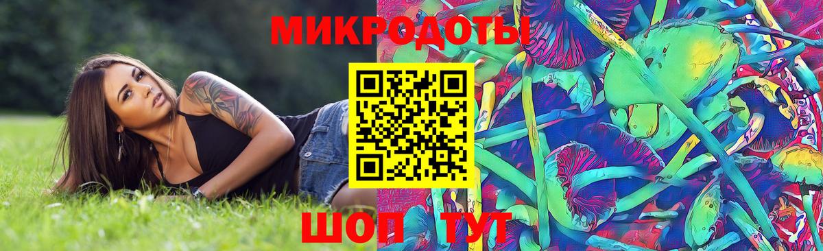 Галлюциногенные грибы Psilocybine cubensis  Псилоцибиновые грибы мухоморы  Альметьевск  Вход с VPN 
