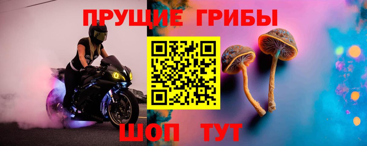 Галлюциногенные грибы GOLDEN TEACHER Альметьевск
